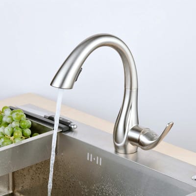 Dailygoods - Keukenkraan met Uittrekbare Sproeier en Dubbele Waterstanden
