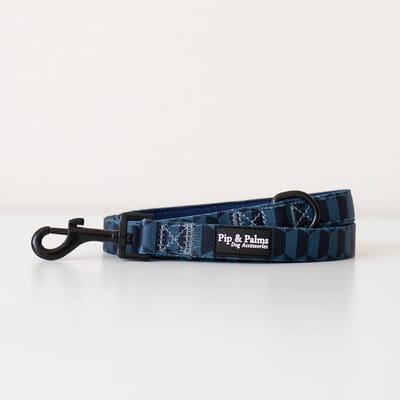 Pip & Palms - Hondenriem Shades of Blue - 152cm lang - Blauw - 2cm breed - Comfortabel & Stijlvol - Honden looplijn - Voor Wandelen en Training