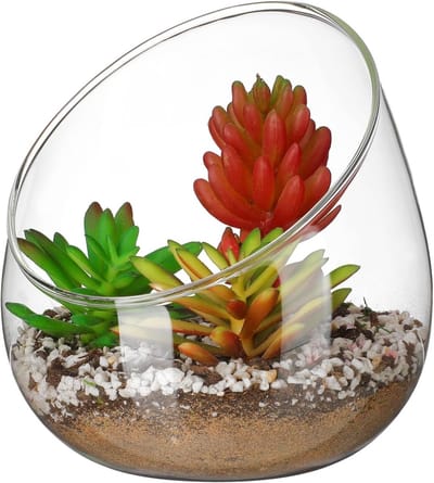 Heldere glazen bol voor planten en vissen, terrarium vaas, rond ontwerp voor bloemen en decoratie