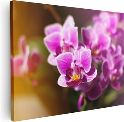 Artaza Canvas Schilderij Bloemen - 40x30 cm - Klein - Muurdecoratie Orchidee - Wanddecoratie Woonkamer - Kamer Accessoires
