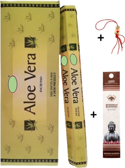 2 kokers - Wierook - Wierookstokjes - Wierooksticks - Incense sticks - Aloë Vera - 40 stokjes + 5 mini wierookstokjes + gelukspoppetje