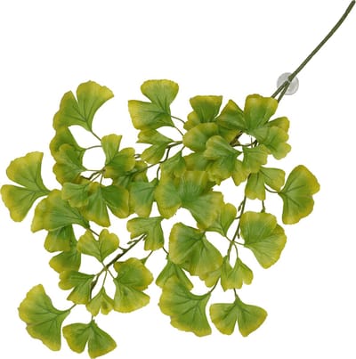 Terra Della - Aquariumdecoratie - Reptielen - Hangende Plant Ginko 63x36x5cm Groen - 1st
