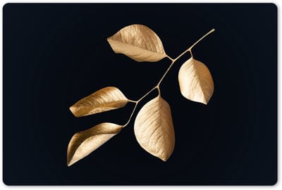 Placemats 45x30 cm - Placemat kunststof - 1 stuk - Bladeren - Tak - Goud - Luxe - Borden onderleggers - Decoratie voor op tafel - Keuken tafeldecoratie accessoires - Vinyl onderlegger - Tafelversiering