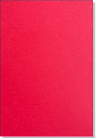 Cards & Crafts 100 x Hobbykarton Rood - A4 - Hobbypapier - Cardstock 29,7x21cm - 250g/m²