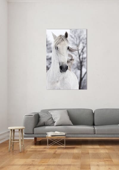 Fine Asianliving Wit Paard In De Wind Digitale Print 80x120cm Veiligheids Glas