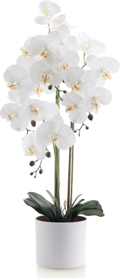 Meisterhome Kunstorchidee 80 cm – Realistische Phalaenopsis Orchidee – Bloeiende Kunstplant – Onderhoudsvrij – Witte Bloemen – Luxe Kamerplant in Pot