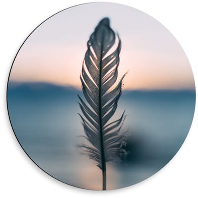 Dibond Wandcirkel - Veer aan het Water - 50x50cm Foto op Aluminium Wandcirkel (met ophangsysteem)