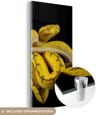 MuchoWow® Glasschilderij 20x40 cm - Schilderij acrylglas - Slang - Tak - Geel - Foto op glas - Schilderijen