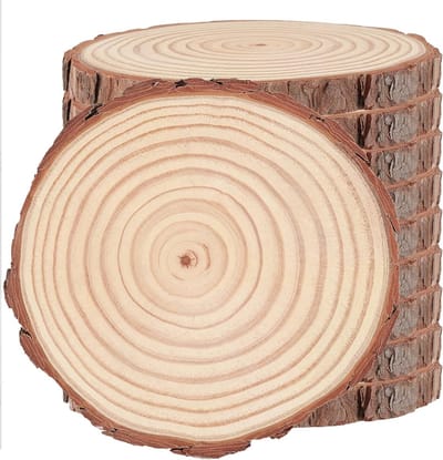 10 Stuks Natuurlijke Houten Schijven 18-20 cm, Onbehandelde Ronde Houtschijven voor Ambachten, Kerstdecoraties en Bruiloft Versieringen