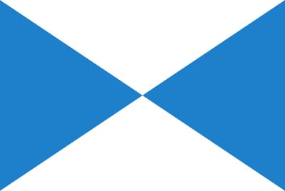 Vlag Halle 200x300cm