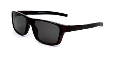 Rodenstock R3294 Havana 55/15/135 MAN Zonnebrillen
