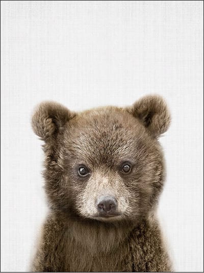 Ychee - Canvas Poster - Baby Kamer - Kinder Kamer - Slaap Kamer - Dieren - Decoratie - Art - Geen fotolijst/frame inbegrepen - 30x40cm - Beer