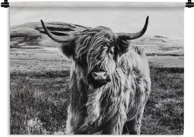 Wandkleed - Wanddoek - Zwart - Wit - Schotse Hooglander - Gras - 120x90 cm - Wandtapijt