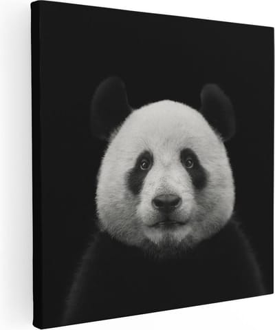 Artaza Canvas Schilderij Dierenkop Panda - 30x30 cm - Klein - Muurdecoratie Woonkamer - Wanddecoratie Dierenhoofd - Kamer Accessoires