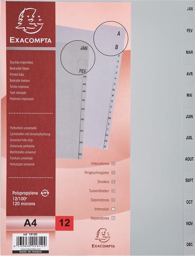 Exacompta 10x Tabbladen met bedrukte tabs in gerecycled PP - 12 tabs - januari/december - A4 - Grijs - 1812E