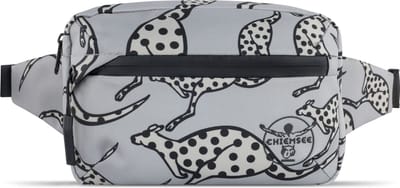 Chiemsee Jump N Fly - Heuptas 22 cm (grau)