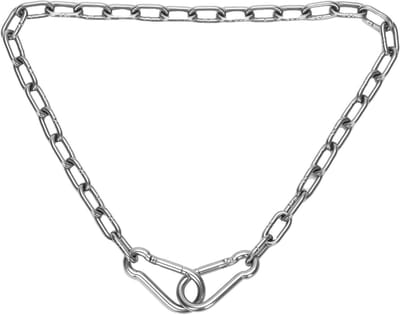 RVS Hangende Schommelketting van 61 cm met Karabijnhaken voor Tuinhek, Hangmat en Buitengebruik (3mm Dikte, Zilver)