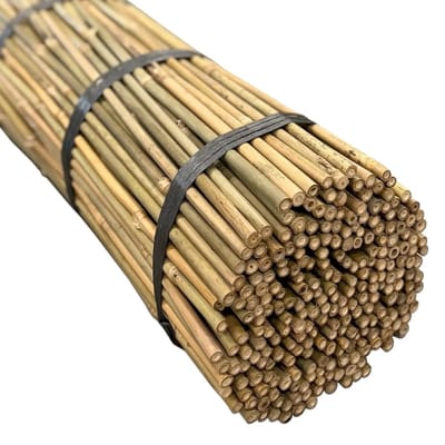 Masters of Bamboo® Bamboestokken Tonkin Ø 10-12 mm - 60 cm - 250 stuks