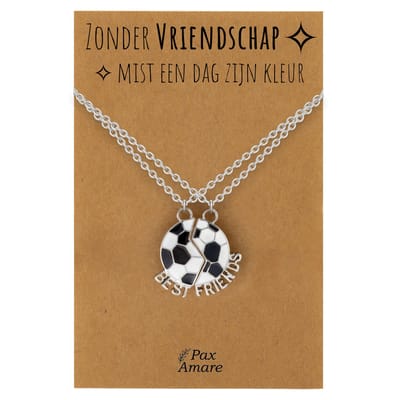 BFF Ketting voor 2 'Zonder Vriendschap mist een dag zijn kleur' - Magnetische Voetbal - Vriendschapsketting op Cadeau Kaartje - 45cm + 5cm verstelbaar - Zilverkleurig - Best Friends Hanger - Pax Amare