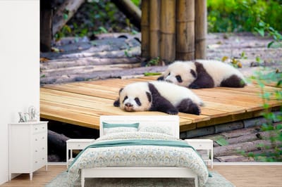 Behang - Fotobehang Panda's - Vloer - Hout - Breedte 360 cm x hoogte 240 cm