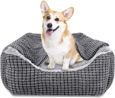 Famanu – Hondenbed Middelgrote Honden -Hondenmand met Afneembare Deken -Hondenbedden Koord Fluffy Afwasbaar -Antislip Hondenmand -Hondenbank met Hoge