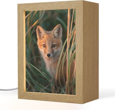 Nachtlampje 15x20 cm - Kinder lampje - Vos - Oranje - Gras - Tafellamp kinderkamer - Slaapkamer lamp - Bedlamp kinderen - Kinderlampje stopcontact - Wandlamp babykamer - Nachtlampjes