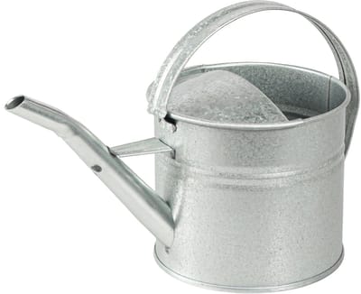Vintage decoratieve gieter, metaal, zilver, 1,25 liter plantenbak