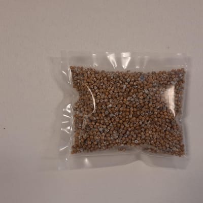 Bransbest broed / sporen van de grijze oesterzwam (40 gram)