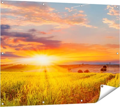 Gards Tuinposter Zonsopgang op het Ma�sveld - 120x90 cm - Tuindoek - Tuindecoratie - Wanddecoratie buiten - Tuinschilderij