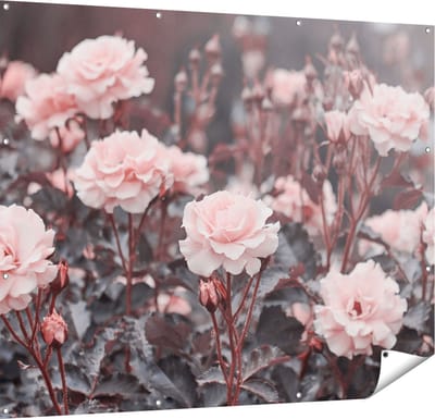 Gards Tuinposter Roze Rozen Bloemen - 150x120 cm - Tuindoek - Tuindecoratie - Wanddecoratie buiten - Tuinschilderij