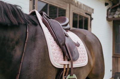 Kentucky Horsewear - Zadeldoek - met gevlochten koord - Zadeldekje - Dressuur - lichtrose