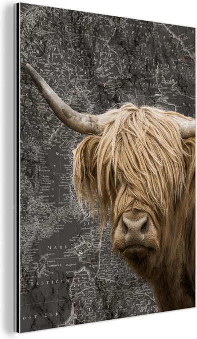 Aluminium schilderij 60x80 cm - Wanddecoratie metaal - Schotse hooglander - Wereldkaart - Dieren - Metalen muurdecoratie woonkamer - Decoratie industrieel - Foto op dibond - Industriële accessoires slaapkamer