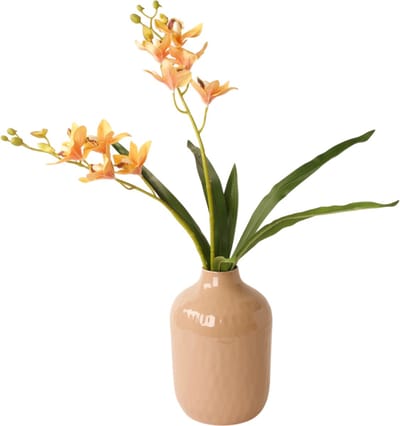 WinQ-Vaas Zennia 38cm Beige-Vaas voor Bloemen-Grote vaas- Design Vaas-Beige Vaas