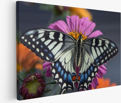 Saammp Muurcirkel Hout - Bloemen - Vintage - Abstract - Ø 90 - Wandcirkel - Wanddecoratie Cirkel - Muurdecoratie Woonkamer - Kantoor Decoratie