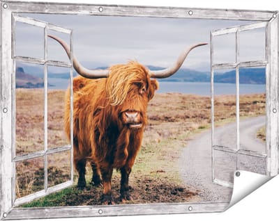 Gards Tuinposter Doorkijk Schotse Hooglander Koe op de Weg - 120x80 cm - Tuindoek - Tuindecoratie - Wanddecoratie buiten - Tuinschilderij