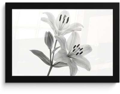 Poster in lijst - Fotolijst 30x20 cm - Posters - Lelies - Elegant - Zwart - Wit - Posterlijst zwart - Decoratie - Wanddecoratie woonkamer - Muurdecoratie slaapkamer