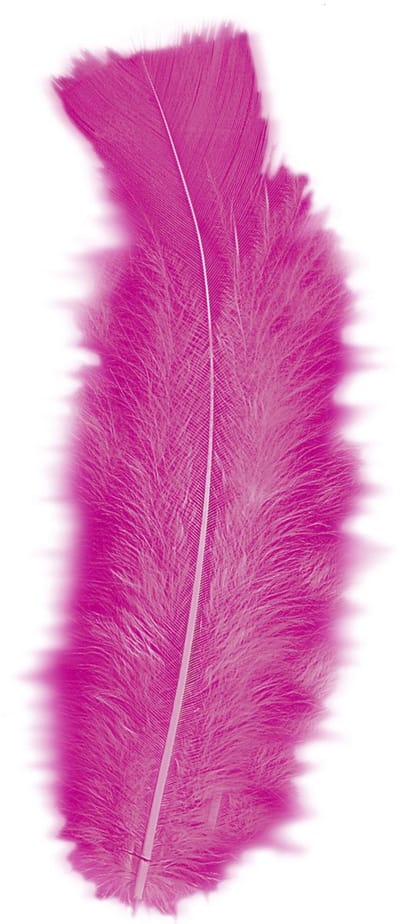Widmann Sierveren - 100x - roze - 17 cm - knutselveertjes - DIY/decoratie/hobbymateriaal