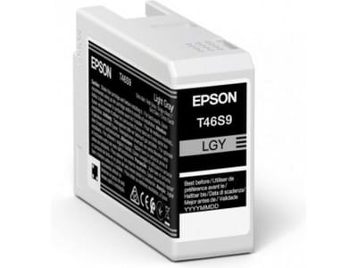 Epson UltraChrome Pro inktcartridge 1 stuk origineel lichtgrijs