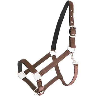 Nylon gevoerd paardenhalster Canter