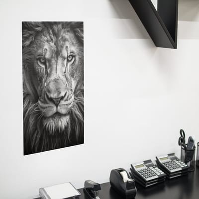 Poster Leeuw zwart-wit, A0 Synaps posterpapier
