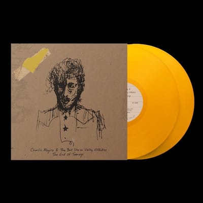 Charlie Megira - End Of Teenage (2 LP) (Coloured Vinyl)