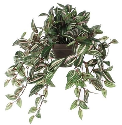 Groene Tradescantia/vaderplant kunstplant 45 cm in pot - Kunstplanten/nepplanten
