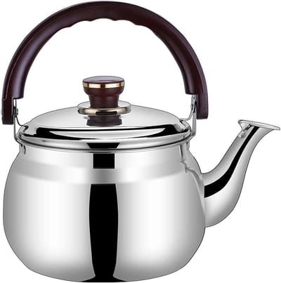 Waterkoker met Fluitje - Theeketel Roestvrij Staal - Water Koken - Ergonomische Handgreep - 4.7L - Zilverkleurig