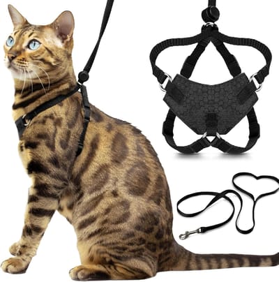 Kattenharnas - Kattenrugzak - Kattentuige met Looplijn