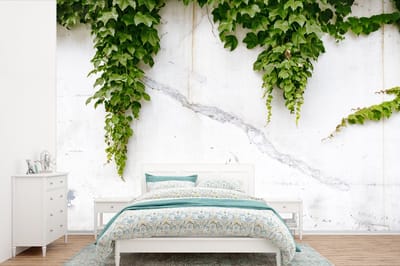 Behang - Fotobehang Klimplant op een witte muur - Breedte 450 cm x hoogte 300 cm