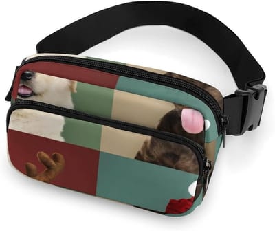 Heuptas Twill - Sporttas Taille - Actieve Dagen - Verstelbare Band - 20x13cm - Stijl-4