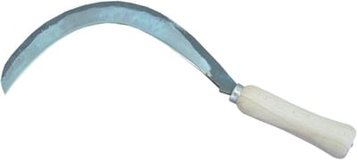 Galicische schijf - Tuinzeis - Gazononderhoud - Duurzame materialen - 280 mm - Metaal
