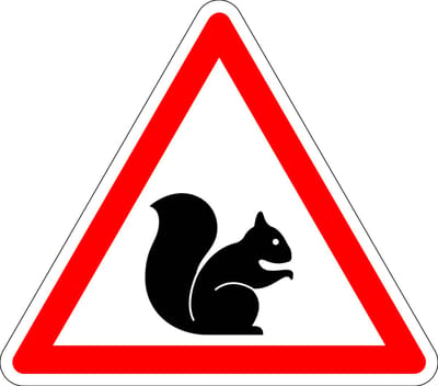 Pas op voor eekhoorn sticker 100 mm