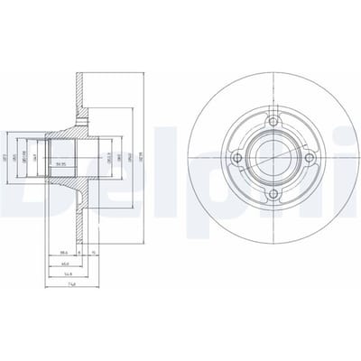 Remschijf DELPHI BG9033RS achter, volledig, 1 Stuk