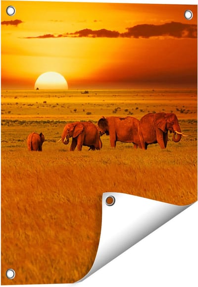 Gards Tuinposter Olifanten in het Wild - Zonsondergang - 40x50 cm - Tuindoek - Tuindecoratie - Wanddecoratie buiten - Tuinschilderij